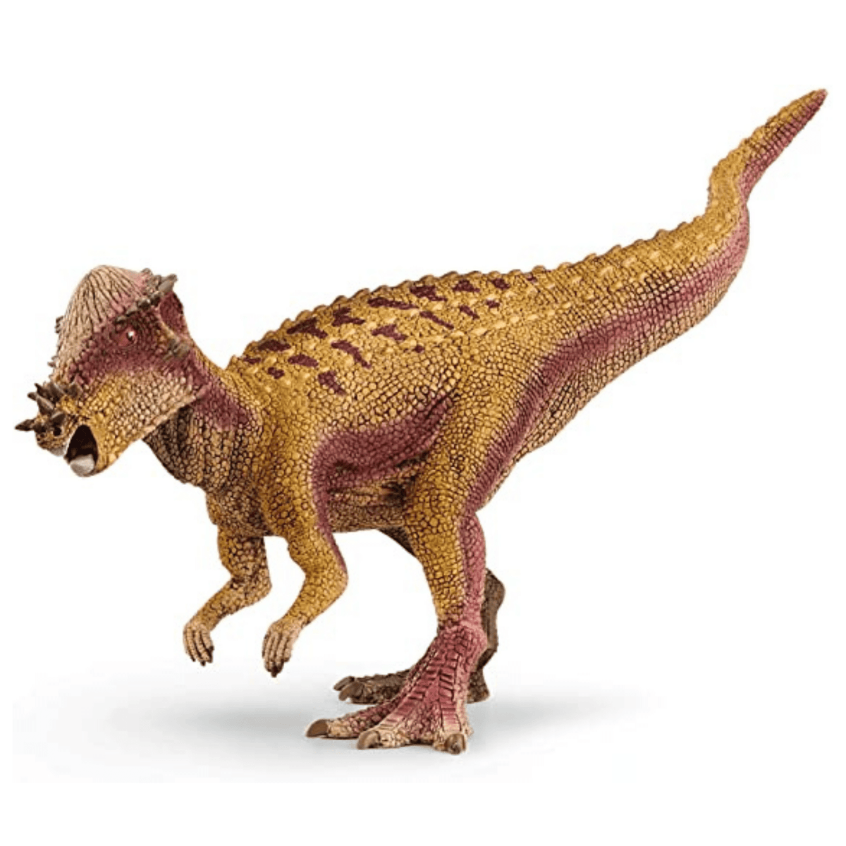 Schleich Pachycephalosaurus Dinosaur Toys Online