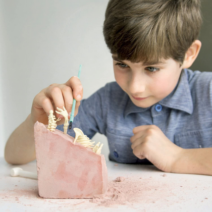 Dig a Dinosaur Skeleton & Clay Modelling Kits