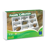 Learning Resources Fossils Collection