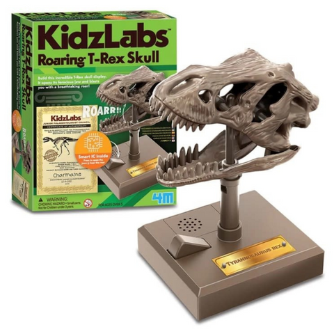 4M Roaring T-Rex Skull